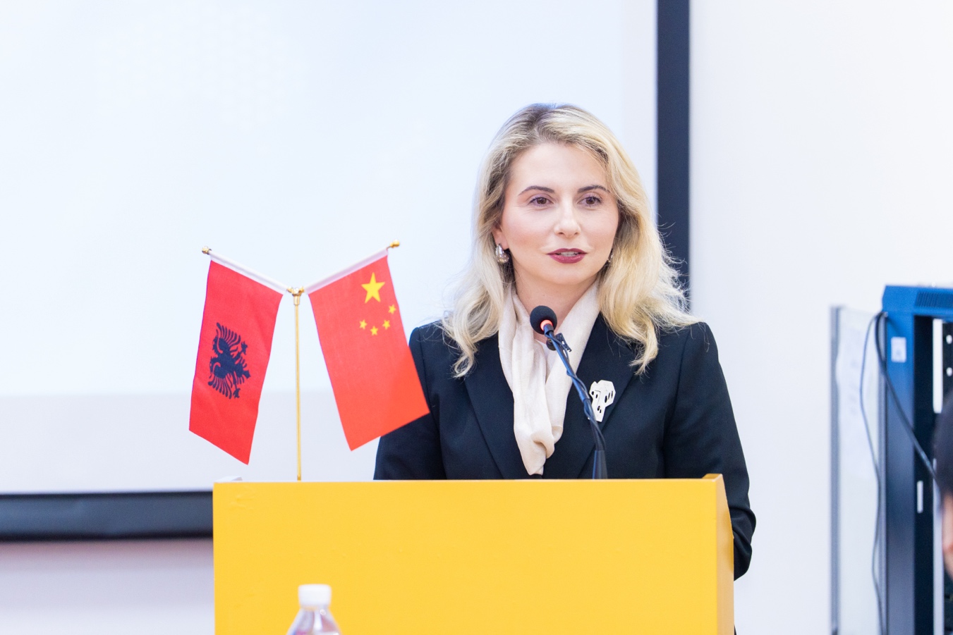 阿尔巴尼亚 阿尔巴尼亚